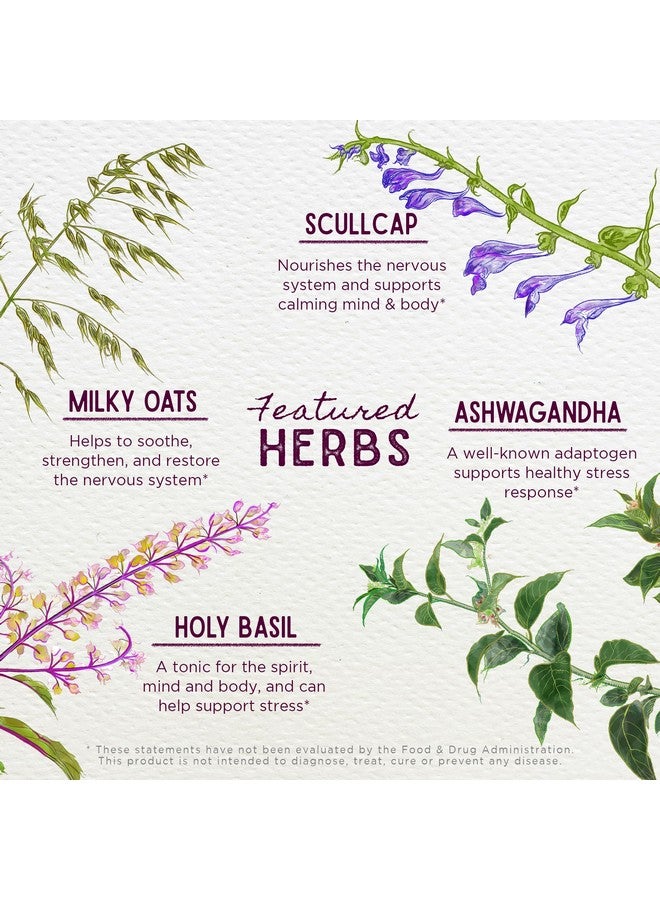 Wishgarden ويش جاردن أعشاب ديب ستريس مع أشواغاندا - مكمل سائل عشبي نباتي لدعم الغدة الكظرية مع جذر أشواغاندا ومواد تكيف قوية لتخفيف التوتر، صبغة سريعة المفعول للتوتر، 4 أونصات - Image 4
