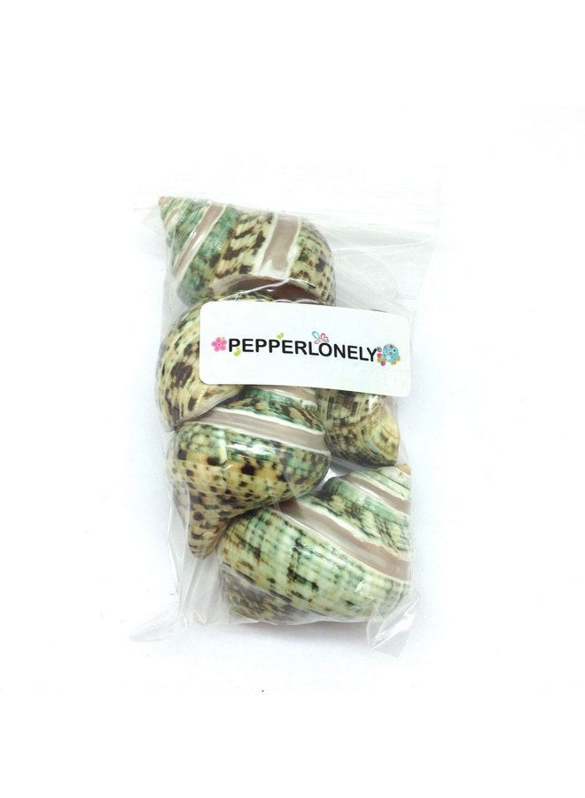 PEPPERLONELY PEPPERLONELY 5PC Green Turbo with Two Pearl Bands, Hermit Crab Sea Shells, 2 Inch Up - Image 3