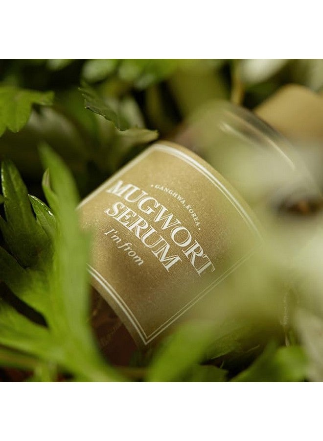 آي أم فروم مصل موجورت 57% مصل مهدئ للوجه مع 57% مستخلص نبات موجورت الكوري رائع لتهدئة البشرة الحساسة والمتهيجة وملمس جل مائي بدون لزوجة 1.01 أونصة سائلة / 30 مل - Image 5