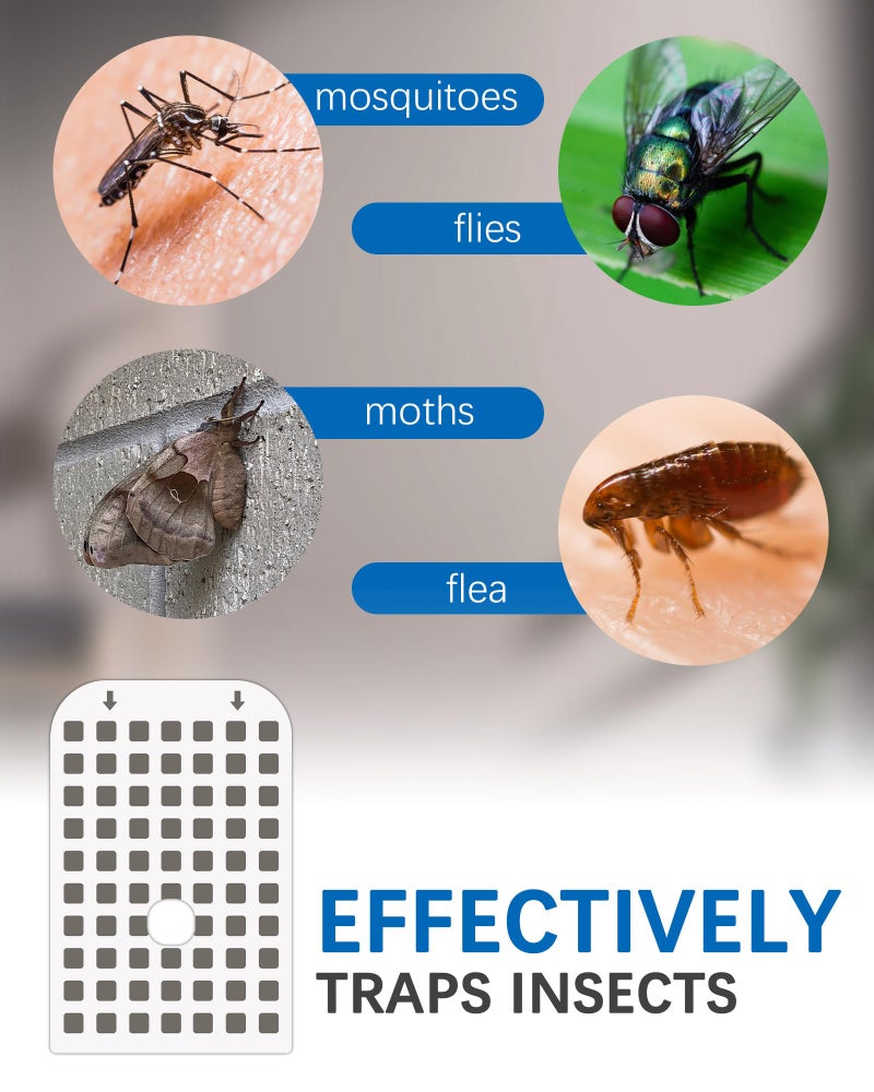 Dichroma 10 Pack Fly Trap Indoor Refill Glue Cards Compatible with DFAGIE GS6 Plug-in Flying Insect Trap, Replacement Adhesive Cards for Mosquito Fruit Fly Moths Gnat Trap for House - Image 3