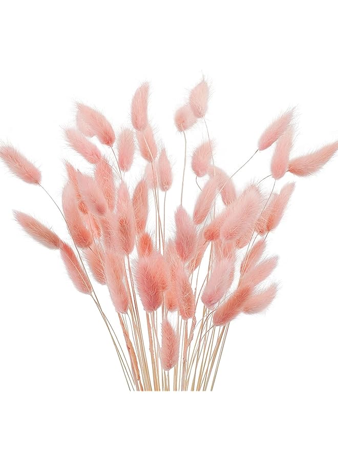 The Bros Natural Bunny Tails Dried Flowers, 70 Pcs Dried Lagurus Ovatus, Dried Pink Pampas Grass Decor for Farmhouse Flower Arrangements Wedding Home Boho Party Decorations - Image 1