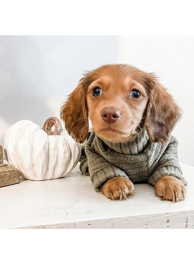 فيت وورم سترة كلاب محبوكة ذات رقبة مدورة، بيجامات للجراء، ملابس شتوية حرارية للكلاب، معاطف للحيوانات الأليفة، ملابس قطط، أخضر، مقاس صغير جدًا - Image 2
