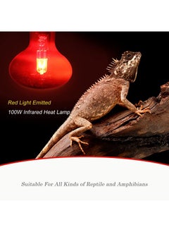 WUHOSTAM 100W Infrared Reptile Heat Lamp Bulb, UVA Basking Spot Red Light Glass Heat Bulbs for Reptiles and Amphibian Use, Bearded Dragon, Turtle, Gecko, Snake, Lizard, Chameleon - 2 Pack - pzsku/ZC0B4E2E846FC7AA88FC9Z/45/_/1737031611/04d6d2fd-7ba7-416b-ad1c-692feed68b7c