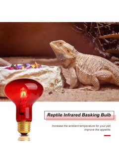 WUHOSTAM 100W Infrared Reptile Heat Lamp Bulb, UVA Basking Spot Red Light Glass Heat Bulbs for Reptiles and Amphibian Use, Bearded Dragon, Turtle, Gecko, Snake, Lizard, Chameleon - 2 Pack - pzsku/ZC0B4E2E846FC7AA88FC9Z/45/_/1737032218/cd4db55d-5018-4104-a2f9-250de8224c73