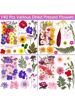 140 Pcs Dried Pressed Flowers for Resin, Real Pressed Flowers Dry Leaves Bulk Natural Herbs Kit for Scrapbooking DIY Art Crafts, Epoxy Resin Jewelry Molds, Candle, Soap Making, Nails Décor - pzsku/ZC0B5280B23243EBF6AE0Z/45/_/1740649026/2733fab6-1ba0-4daa-b751-3a4cfa023e05