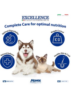 Monge Lechat Excellence by Monge | Cat Wet Food with Salmon | Super Premium Complementary Wet Cat Food | Chunkies in Pouch - 100g  - Image 3
