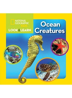 Ngk Look And Learn Ocean Creatures 