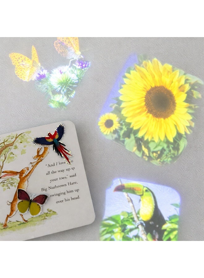 Avenir Natural Creation Garden Projector Light for Kids - 24 Nature & Flower Scenes with 4K Film Quality, Adjustable Focus Handheld Flashlight Projector, Educational Toy & Night Light with Disc Storage Case - Image 4