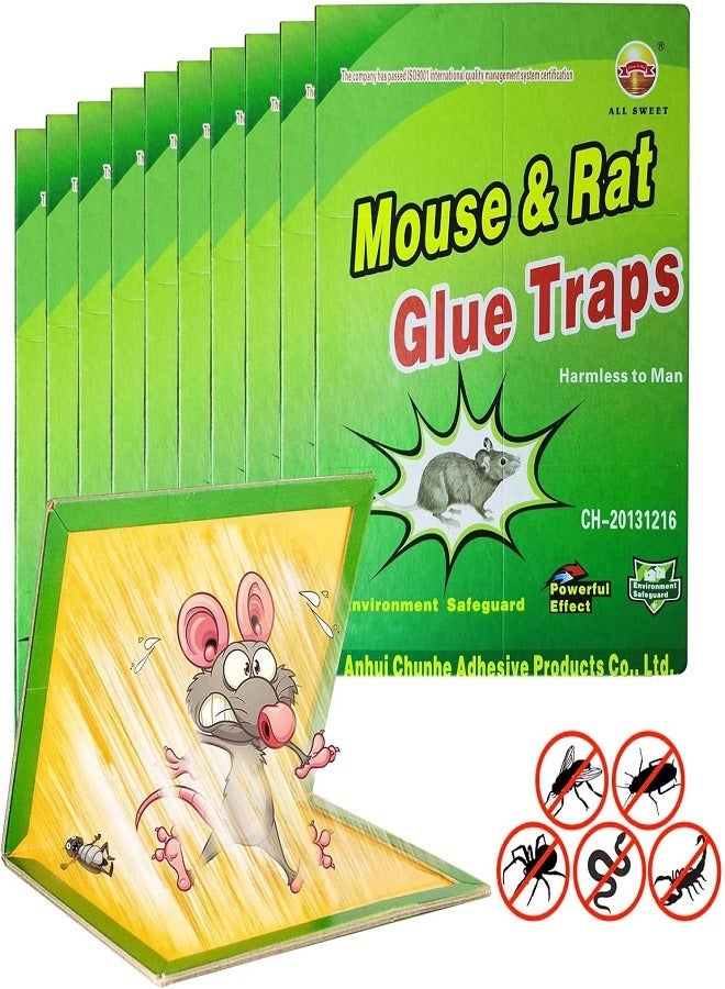 Generic Strong, Non-Toxic, Easy-to-Set Sticky Mouse Trap for Indoor and Outdoor Use, 12 Pack  - Image 1