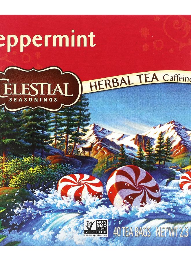 Herbal Tea Peppermint Caffeine Free 40 Tea Bags 2.3 oz (66 g)