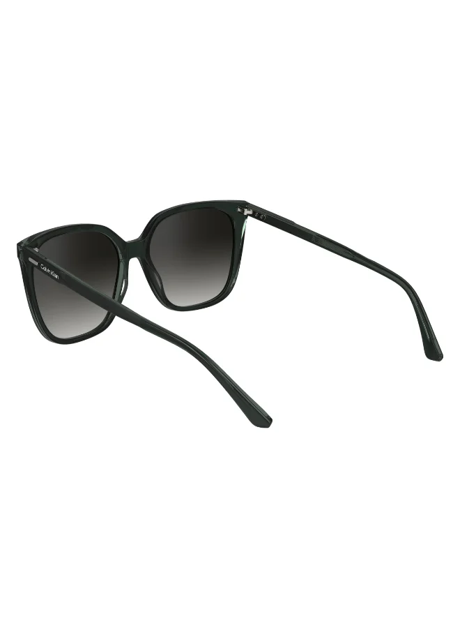 كالفن كلاين FULL RIM ACETATE CALVIN KLEIN SUN CK24509SN