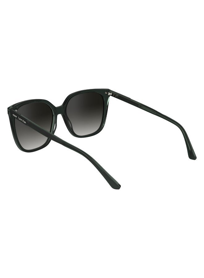 CALVIN KLEIN FULL RIM ACETATE CALVIN KLEIN SUN CK24509SN - Image 3