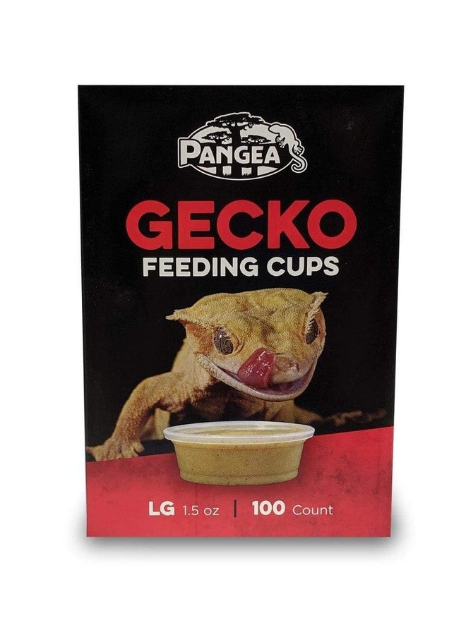 Pangea Pangea Large Gecko Ledge Replacement Cups 100 Count  - Image 2