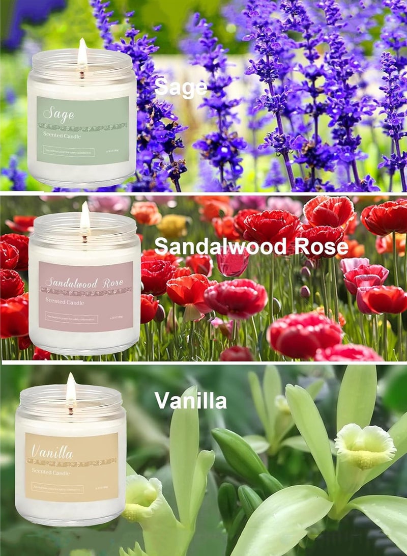 مس تيارا مجموعة من 6 شموع منزلية برائحة العلاج العطري، مجموعة هدايا للنساء، شمعة لافندر، شمع الصويا الطبيعي، مجموعة شموع طويلة الأمد، هدايا لأعياد الميلاد، عيد الحب، رمضان، هدية الذكرى السنوية - Image 3