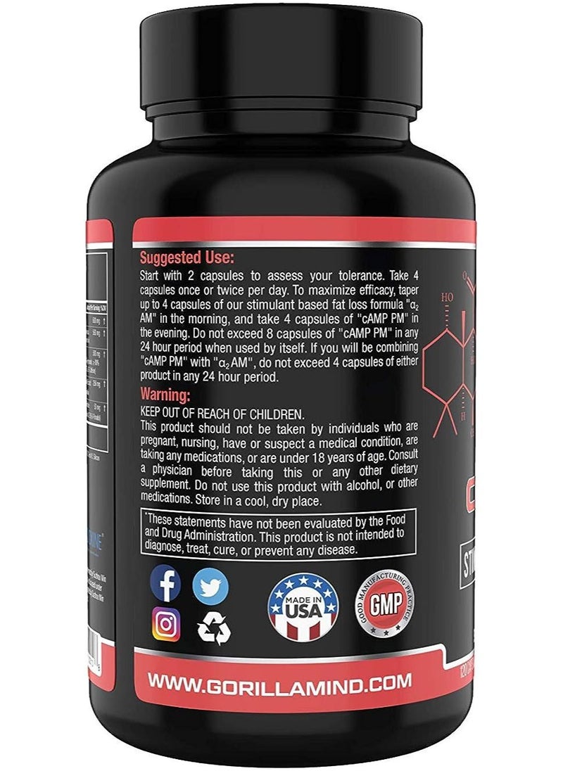 Gorilla Mind - CAMP PM Stim Free Fat Loss Formula 120 Capsules - Image 1