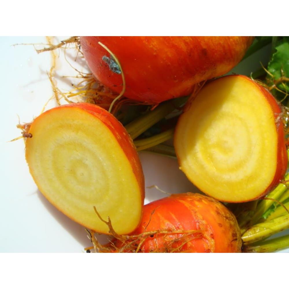 Yellow Rooth Vegetable Generic 30 BURPEE'S GOLDEN BEET Beta Vulgaris Yellow Root Vegetable ...