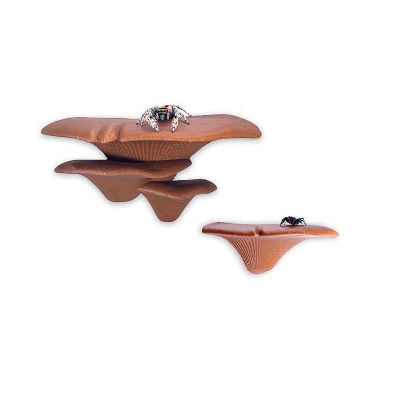 Daerky Jumping Spider Mushroom Shelf, Magnetically Concealed Jumping Spider Habitat,Serves As Enclosure Decorate Accessories for Spider Climbing Feeding and Platforms (Brown) - Image 1