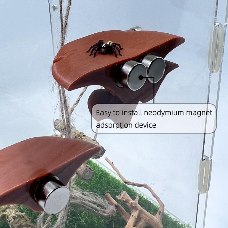 Daerky Jumping Spider Mushroom Shelf, Magnetically Concealed Jumping Spider Habitat,Serves As Enclosure Decorate Accessories for Spider Climbing Feeding and Platforms (Brown) - Image 4