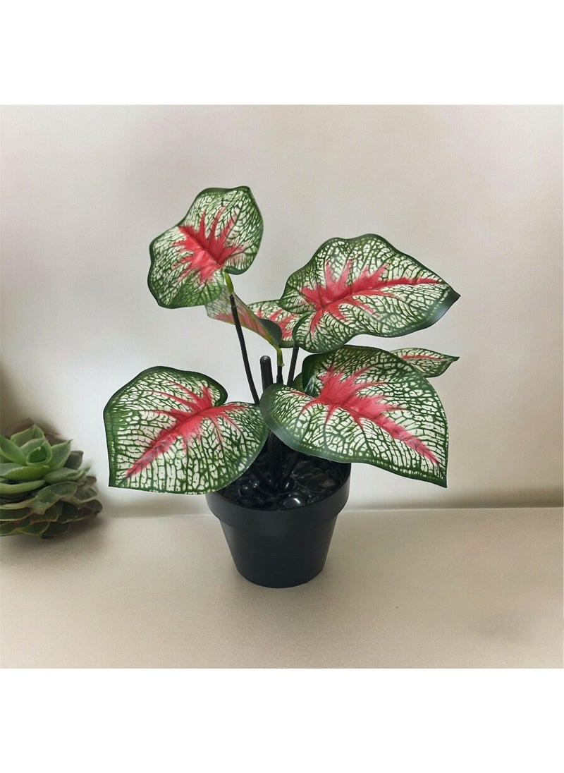 Artificial Flower Caladium Plant - pzsku/ZC0BF94CE66707FAD11C3Z/45/_/1730722907/25a278a6-2f27-4ede-9080-05a042c81ecf