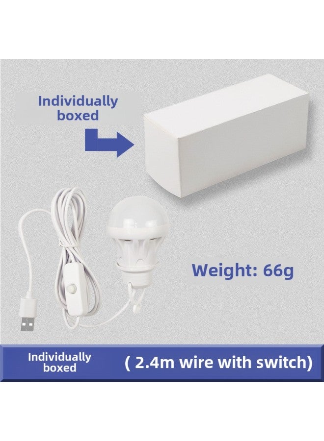 5v Usb Led Bulb Light Portable Power Bank Street Stall Computer Use Low Voltage Outdoor Lighting Lantern-Color:With Switch (2.4 Meters With Switch) (independent White Box Bag  - Image 1