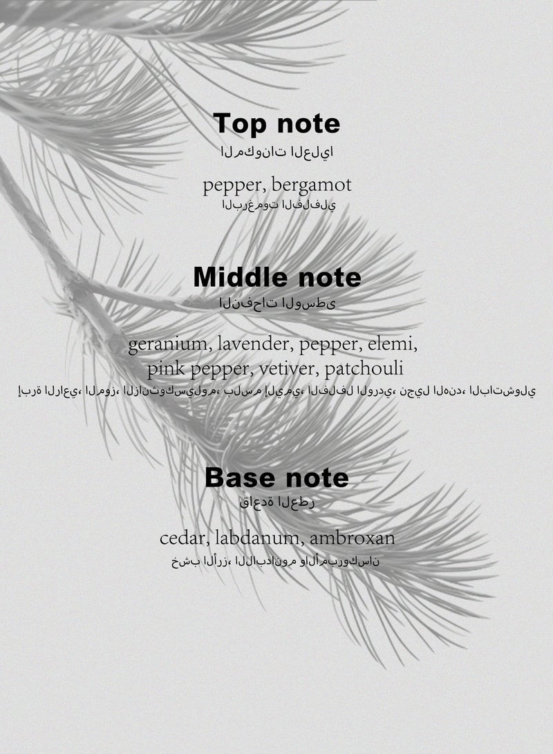 DIGNIFE Woody Perfume/50ML - Image 3