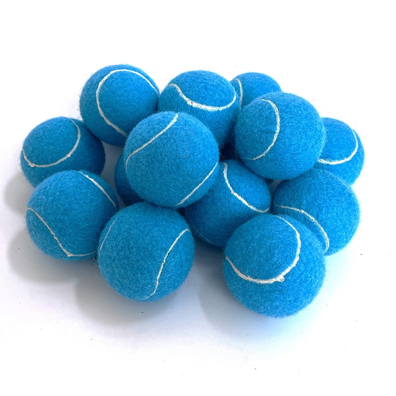 Hpwfhplf Tennis Balls  12 Packs Practice Tennis Balls For Beginner  Training Playing Tennis Balls For Dogs  Come With Mesh Carry Bag (Blue) - Image 3