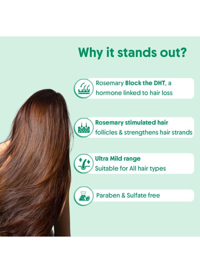 Aravi Organic Rosemary Anti Hairfall Shampoo | Hair Growth & Hairfall Control | Up to 94% Stronger Hair | Sulphate-Free Shampoo for Men & Women | Suitable for All Hair Types | 300ml - Image 2