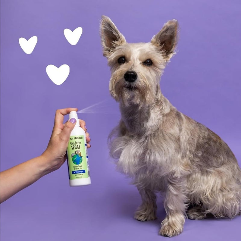 earthbath Hypoallergenic Shea Butter Spray - Dog Dandruff Treatment, Moisture Repair, Skin Moisturizer & Dander Care Spray for Dogs & Cats, Enriched with Nilotica Shea Butter - 237 ml - Image 3