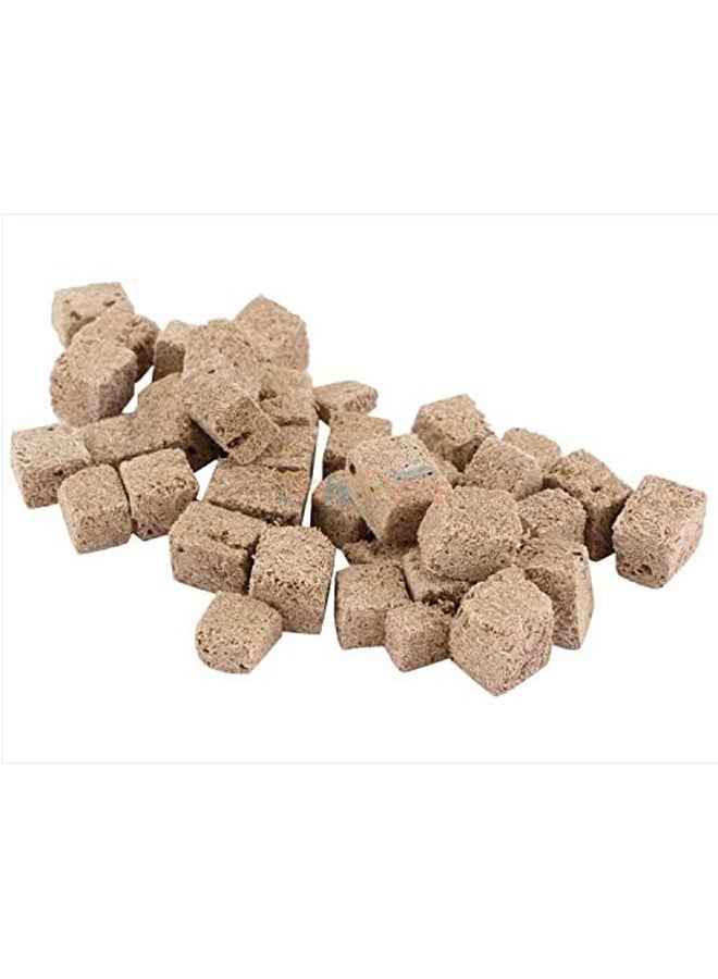 FishAsPets Hallofeed Freeze Dried Worms | Fish Food - 20 Gms Blood Worms + 40 Gms Tubifex Worms, Adult - Image 5