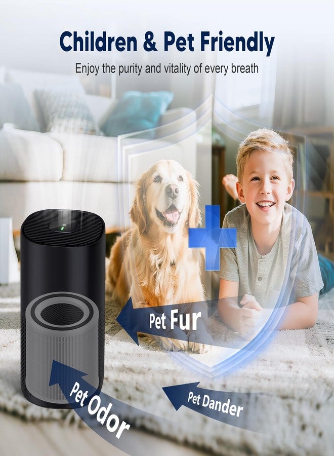 PETOX 240 Replacement Filter Compatible with 240 Air Purifier, 3-in-1 High-Efficiency Filtration with Activated Carbon for Air Pollutants, Odor and Smoke, 2 Pack, White - Image 4