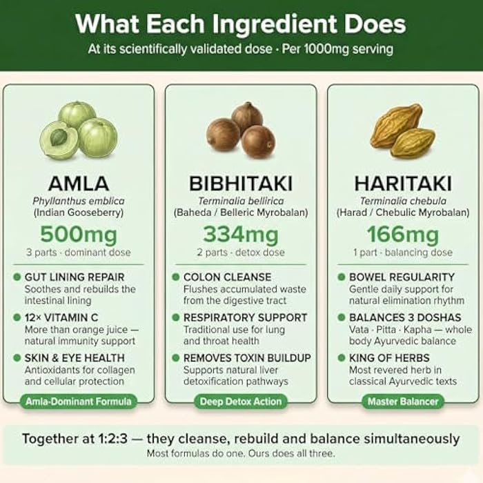 Daily All Day Triphala Tablets 1:2:3 Ratio, Organic Indian Origin Ayurvedic Gut Health & Digestive Support, Amla Haritaki Bibhitaki, 120 Tablets, 2 mth Supply, triphala Herbal Supplements - Image 3