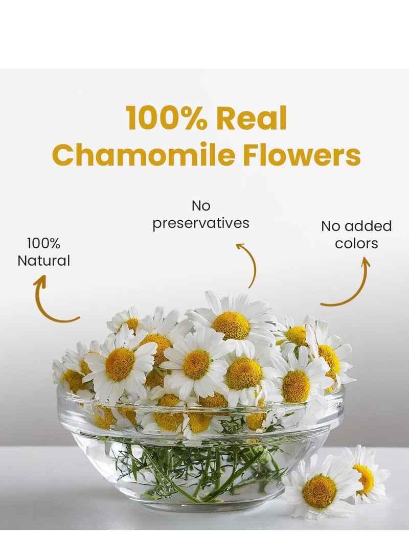 BLUE TEA - Chamomile Tea - 30 g - 30+ Cups || SLEEP & RELAXATION || Herbal Tea - Caffeine Free - Flower Based - Vegan - Non-Bitter - Non-GMO - 100% Natural | Reusable Pet Jar - Image 2