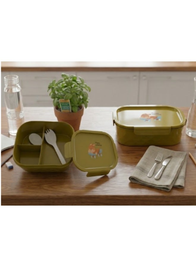 AREEN Lunch Box – Perfectly Sized for Meals, Leak-Proof, Dishwasher Safe, and BPA-Free - Image 3