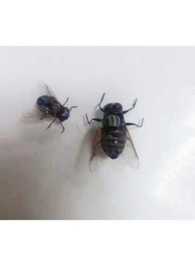 Suitable For Simulation Of Insects, Flies, Magnet, Refrigerator Stickers, Decorations, Scene Layout, Educational Supplies, Entire People Play 