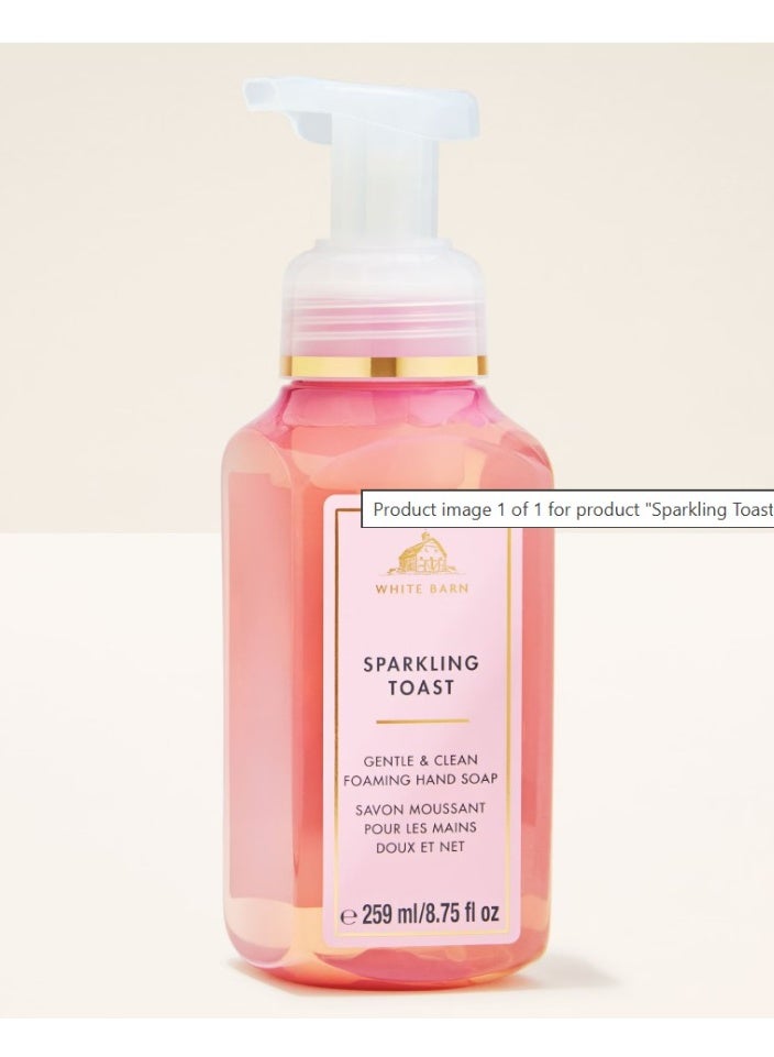 Sparkling Toast Gentle & Clean Foaming Hand Soap