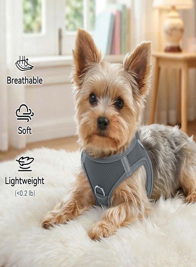 Joytale Small Dog Harness, Breathable Mesh Step-in Vest, Reflective Soft Padded Harnesses for Cats, Puppies and Extra Small Dogs, Gray, XXS - Image 4