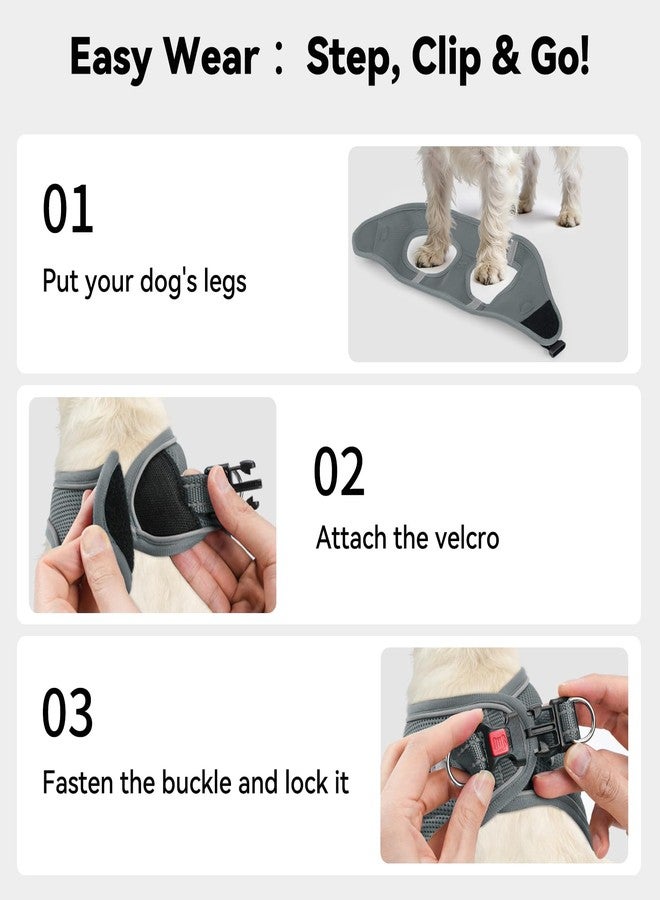 Joytale Small Dog Harness, Breathable Mesh Step-in Vest, Reflective Soft Padded Harnesses for Cats, Puppies and Extra Small Dogs, Gray, XXS - Image 3