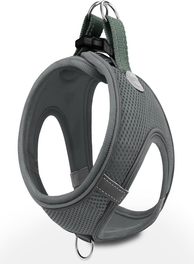 Joytale Small Dog Harness, Breathable Mesh Step-in Vest, Reflective Soft Padded Harnesses for Cats, Puppies and Extra Small Dogs, Gray, XXS - Image 1