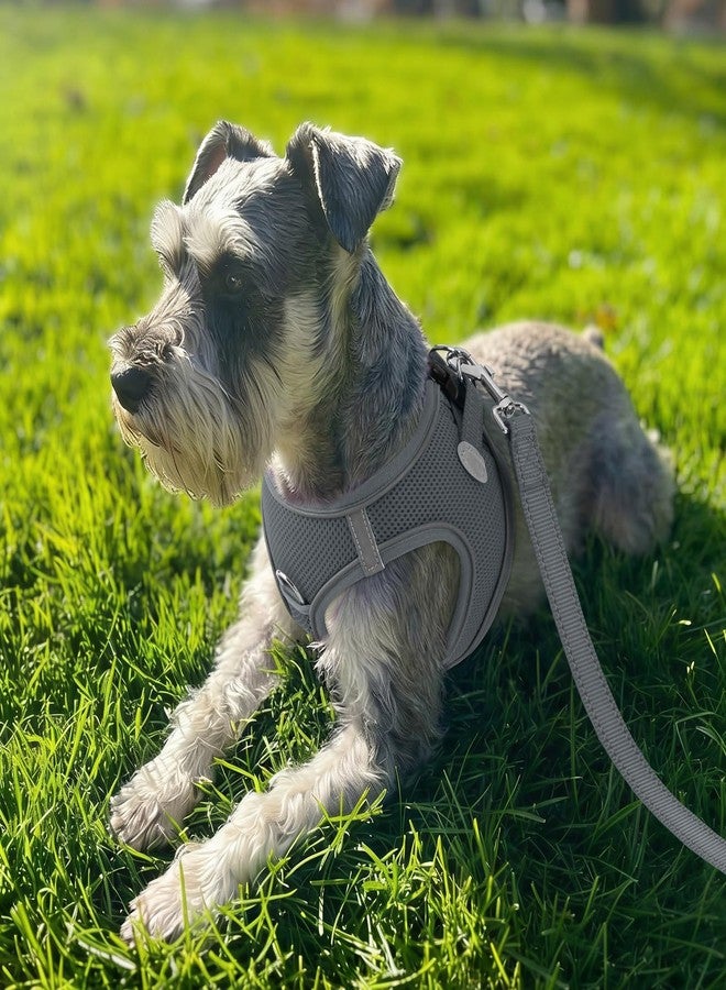 Joytale Small Dog Harness, Breathable Mesh Step-in Vest, Reflective Soft Padded Harnesses for Cats, Puppies and Extra Small Dogs, Gray, XXS - Image 2