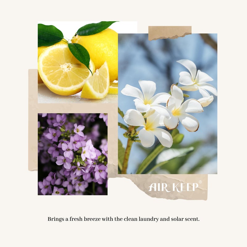 Airkeep Reed Diffuser Set/Clean Linen/6.76 fl oz(200ml)/1 Pack/Home & Office Decor Aromatherapy Diffuser Oil Gift Set - Image 4