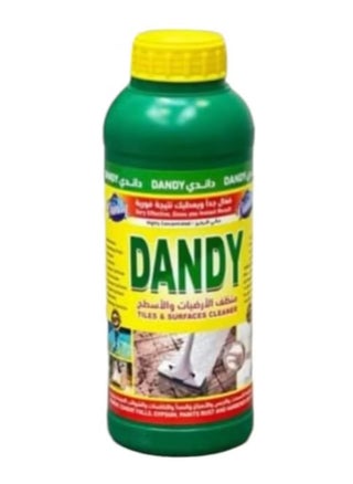 Dandy floor cleaner - pzsku/ZC0D4B6B2FFBB20C91A03Z/45/1745097377/5a4af4f9-d448-4c2d-80c2-aca43a9bb1ca