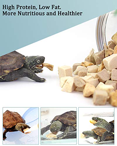 BNYEE 3 in 1 Meat Turtle Food - Chicken & Duck & Fish Meat Natural Freeze Dried Human-Grade Turtle Treats - Image 4