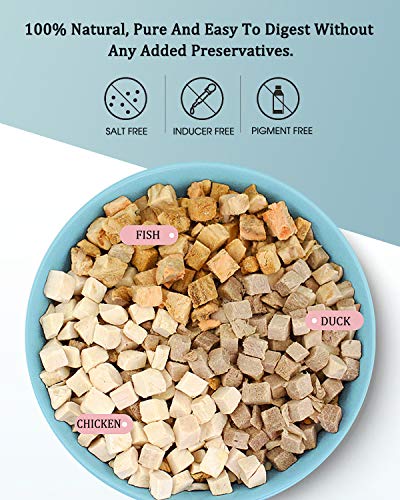 BNYEE 3 in 1 Meat Turtle Food - Chicken & Duck & Fish Meat Natural Freeze Dried Human-Grade Turtle Treats - Image 3