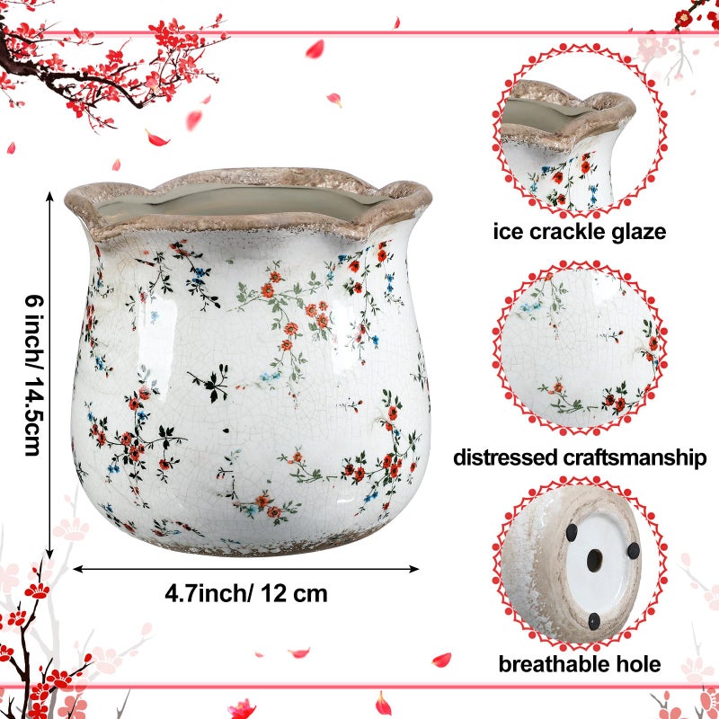 Newtay 6 Inch Ceramic Plants Pots Vintage Ceramic Flower Planters Crackle Glaze Finish Flower Pots Decorative Floral Vintage Planters for Living Room Garden Home Decor Gifts(Cute) - Image 2