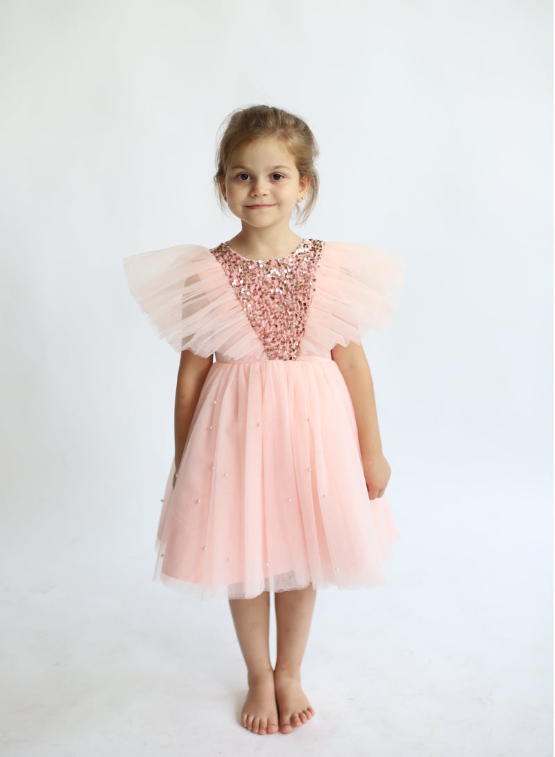 دىدانيالا فستان بتطريز ترتر - Image 1