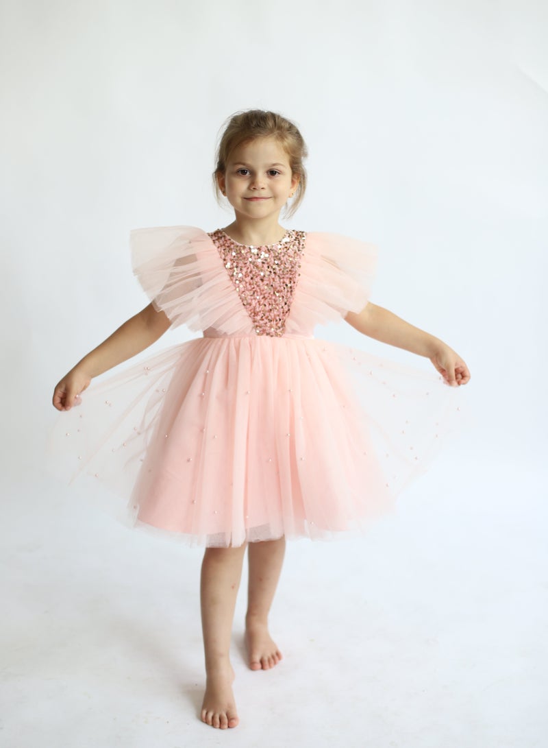 دىدانيالا فستان بتطريز ترتر - Image 2