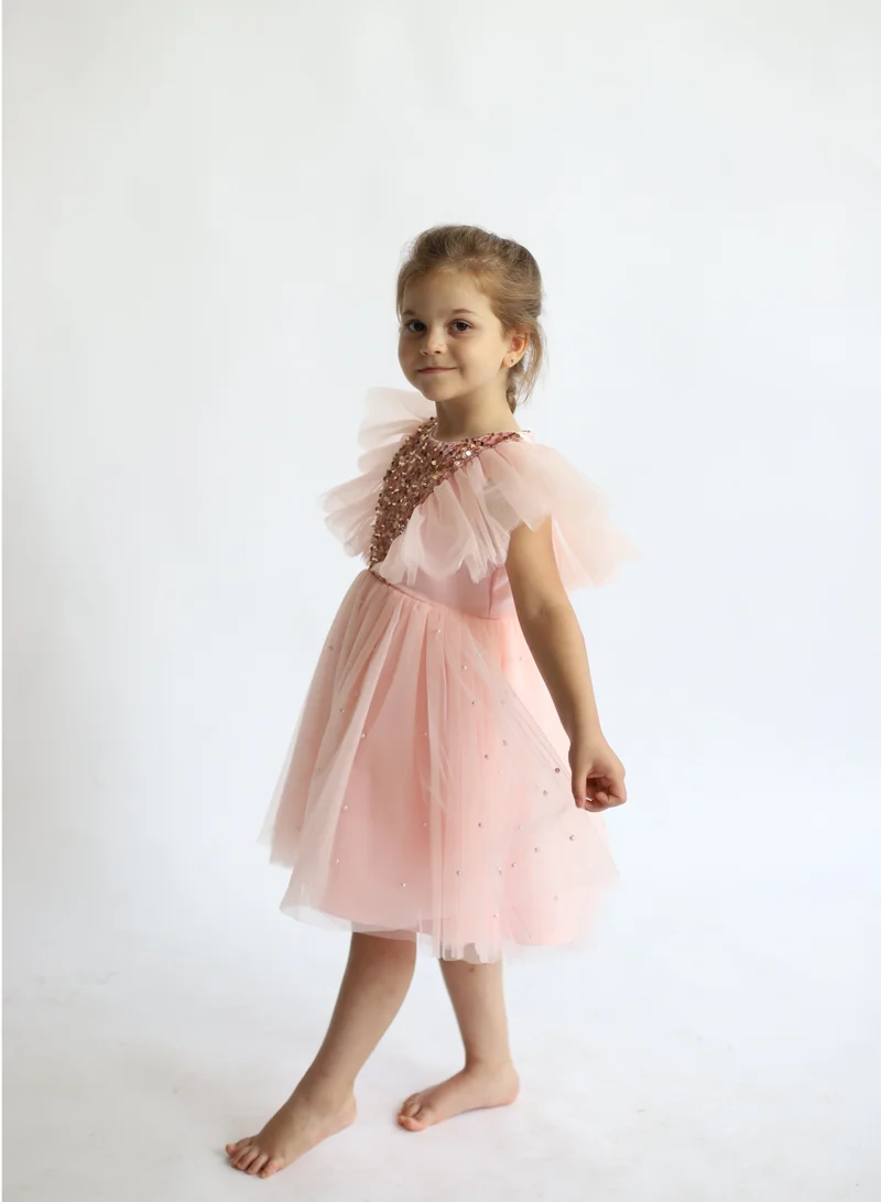 D'Daniela Sequin Bodice Dress