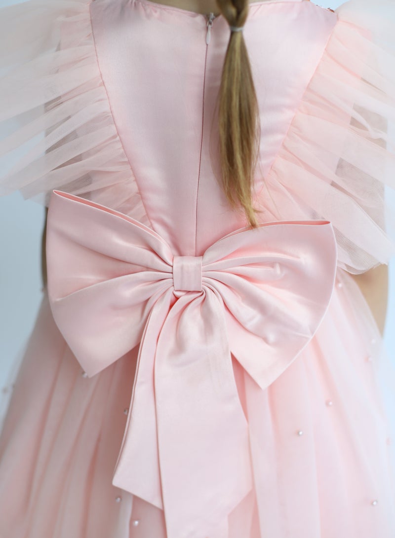 دىدانيالا فستان بتطريز ترتر - Image 4