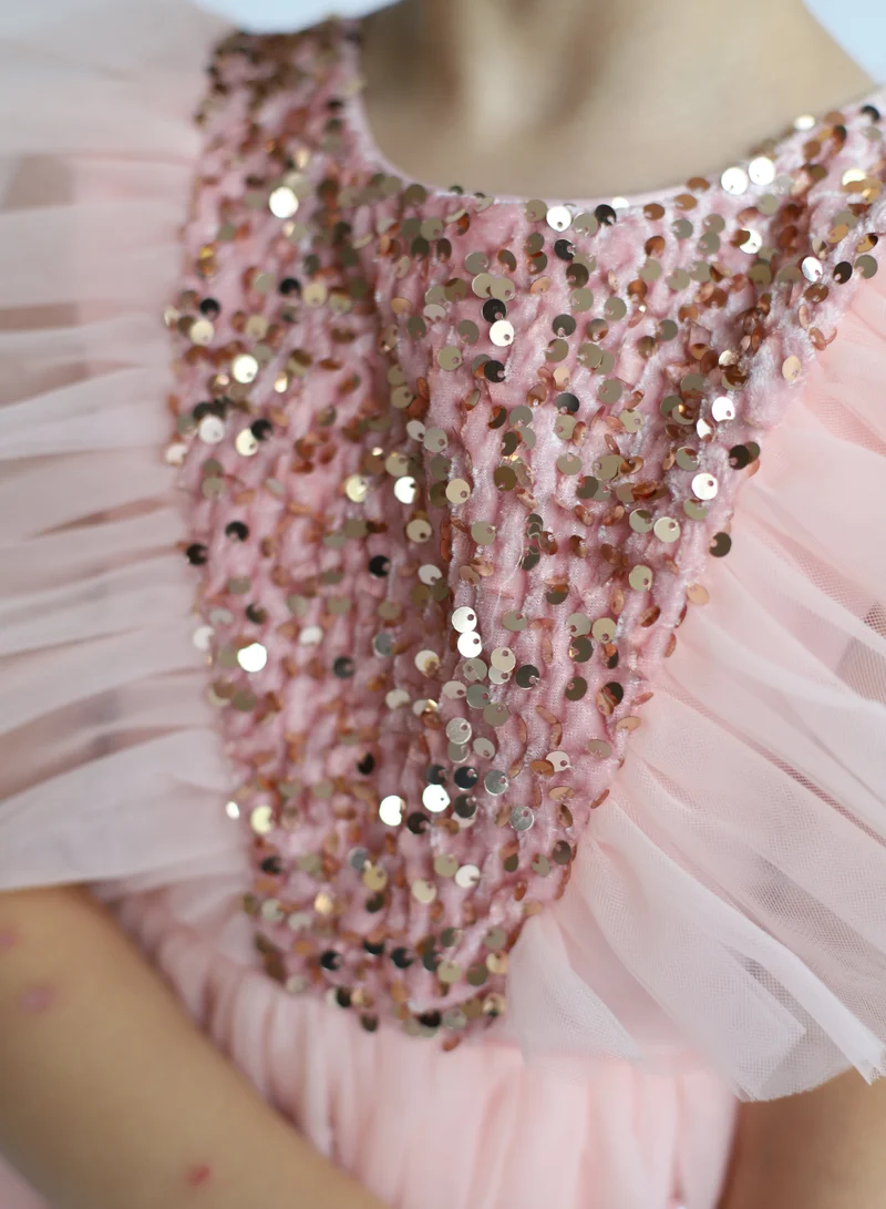 D'Daniela Sequin Bodice Dress