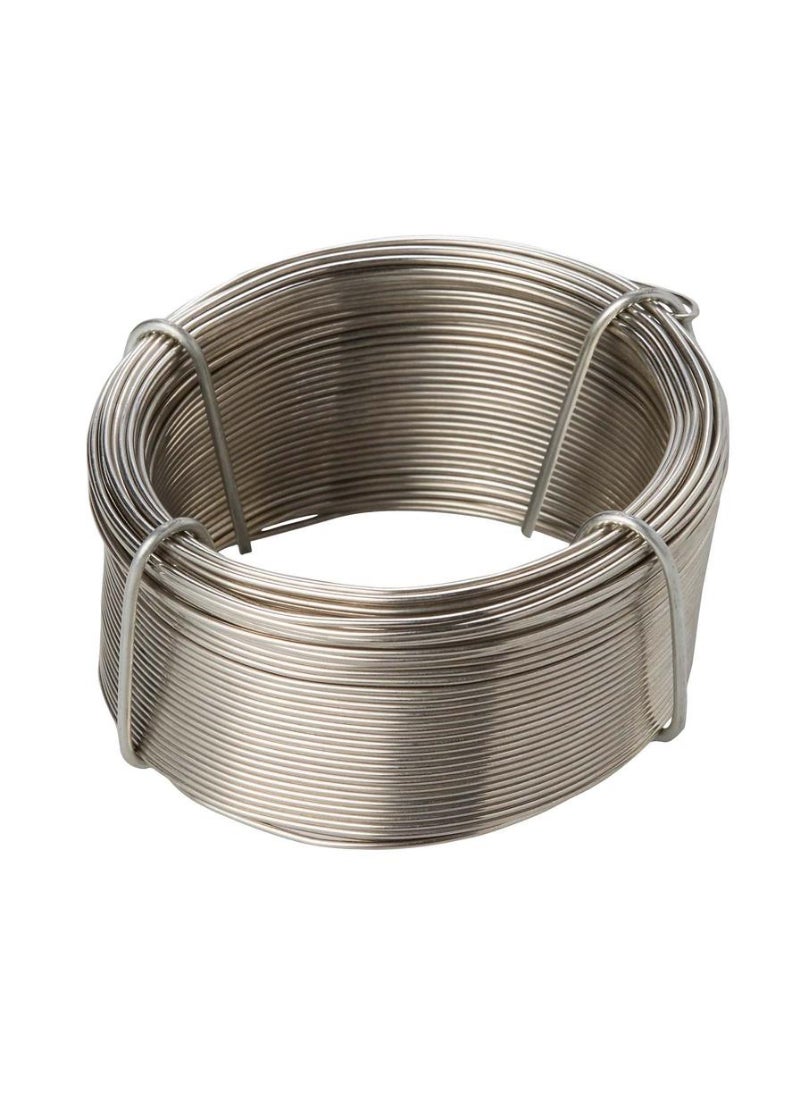 Diall Stainless Steel Wire 0.8mm x 50m - pzsku/ZC0D80C5BB5805D7BAF9BZ/45/_/1722680263/ba86d613-c8e9-4ea6-a4ea-2729103829ab